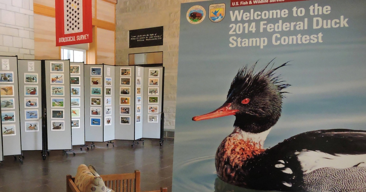 Duck Stamps U.S. Fish Wildlife Service